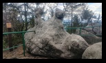 Bledne Skaly -23-04-2025 - Bogdan Balaban